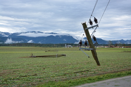 Opustošeno polje